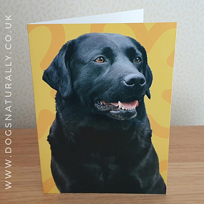 Labrador (Black) Jazzy Greetings Card